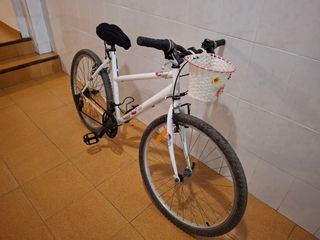 Bicicleta Rockraider 
