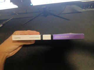 Guillermo el travieso