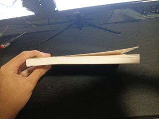 Guillermo el travieso