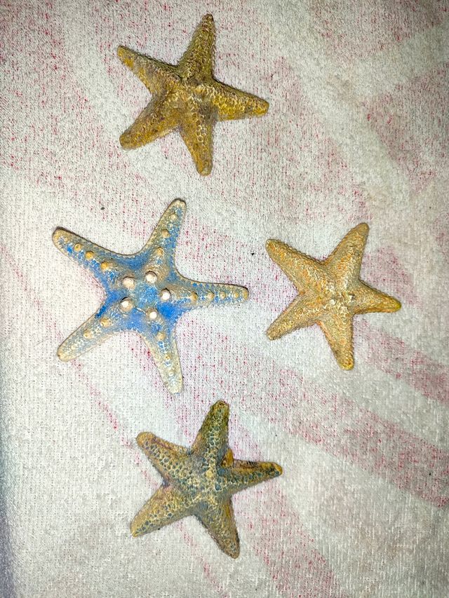 ✅ Decoración Acuario