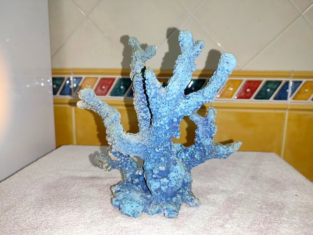 ✅ Decoración Acuario