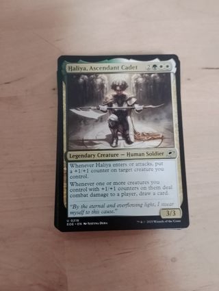 Lote de cartas Magic