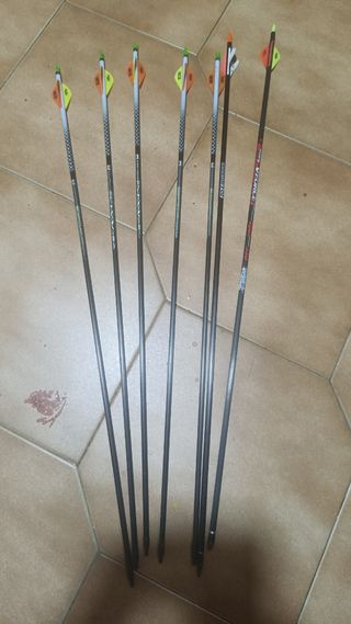 6 Flechas Carbono 400