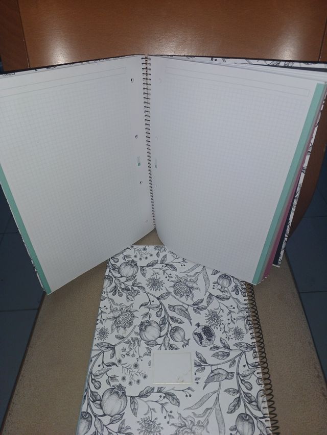 Cuadernos