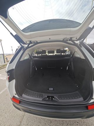 LAND_ROVER Discovery Sport 2.0D I4- 150 PS AWD MHEV AT Standard