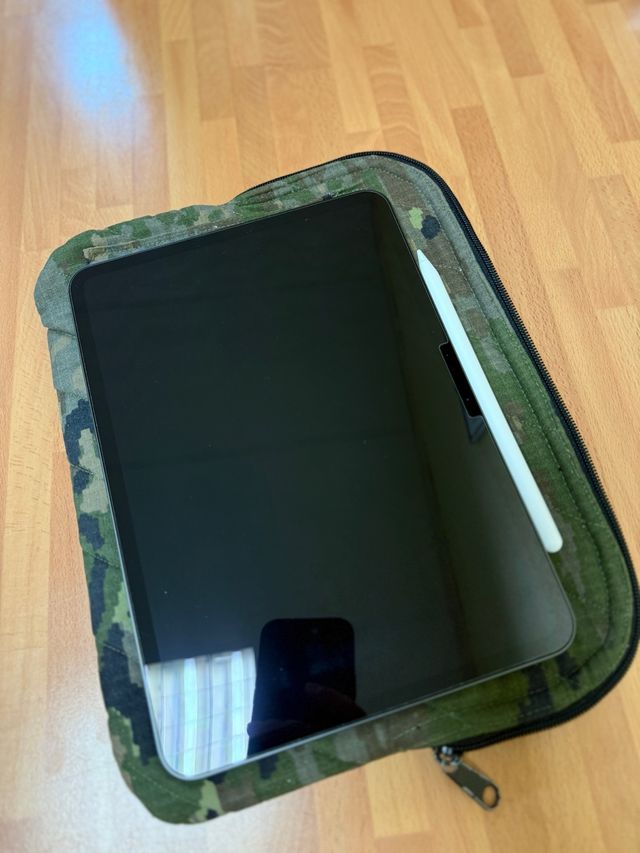 iPad Pro 11” (M4) 256 GB WiFi + Apple Pencil Pro