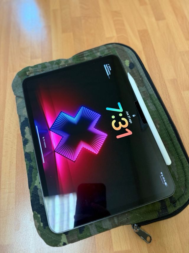 iPad Pro 11” (M4) 256 GB WiFi + Apple Pencil Pro