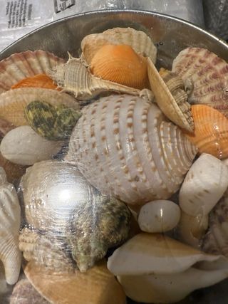 Centrotavola conchiglie metallo 19cm