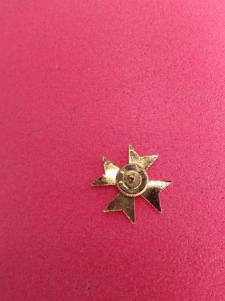 Insignia para gorra de plato de sanidad.