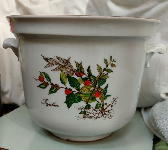 Fioriera in porcellana Myosotis Palustris