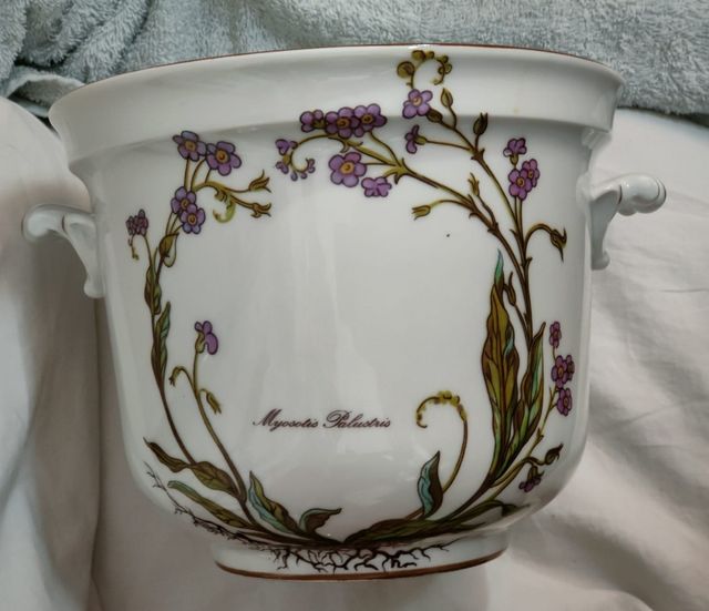 Fioriera in porcellana Myosotis Palustris