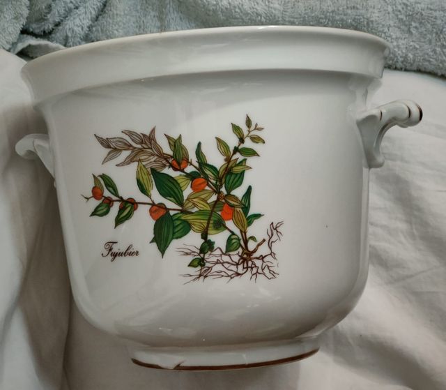 Fioriera in porcellana Myosotis Palustris