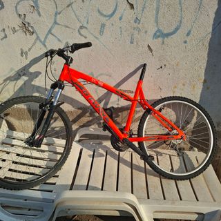 Bicicleta Vici montaña
