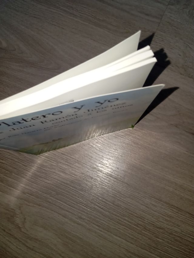 Platero Contado A Los niños (Rustica)