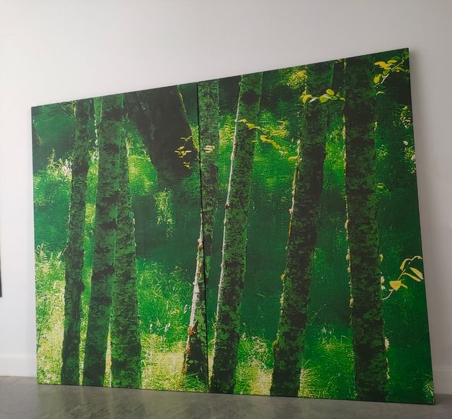 4 Cuadros decorativos bosque