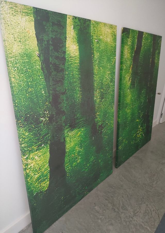 4 Cuadros decorativos bosque