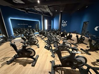 Bicicletas spinning (24 unidades)