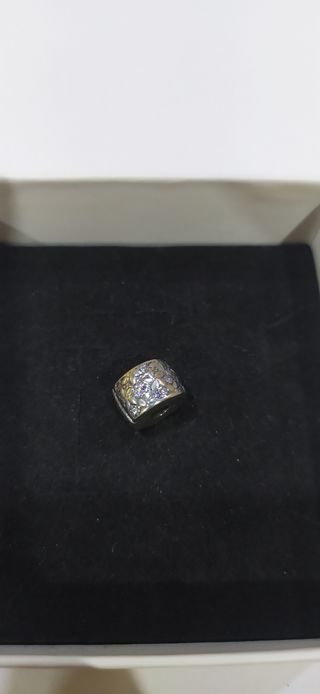 Charm de plata