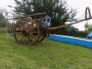 Carro madera antiguo - Caballos