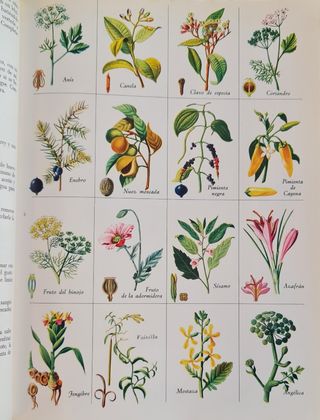 Enciclopedia de La Cocina