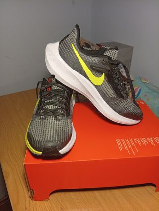 Nike Air Zoom Pegasus 39
