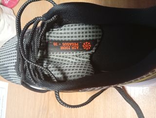 Nike Air Zoom Pegasus 39