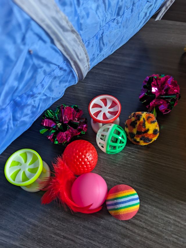 Túnel y juguetes gato