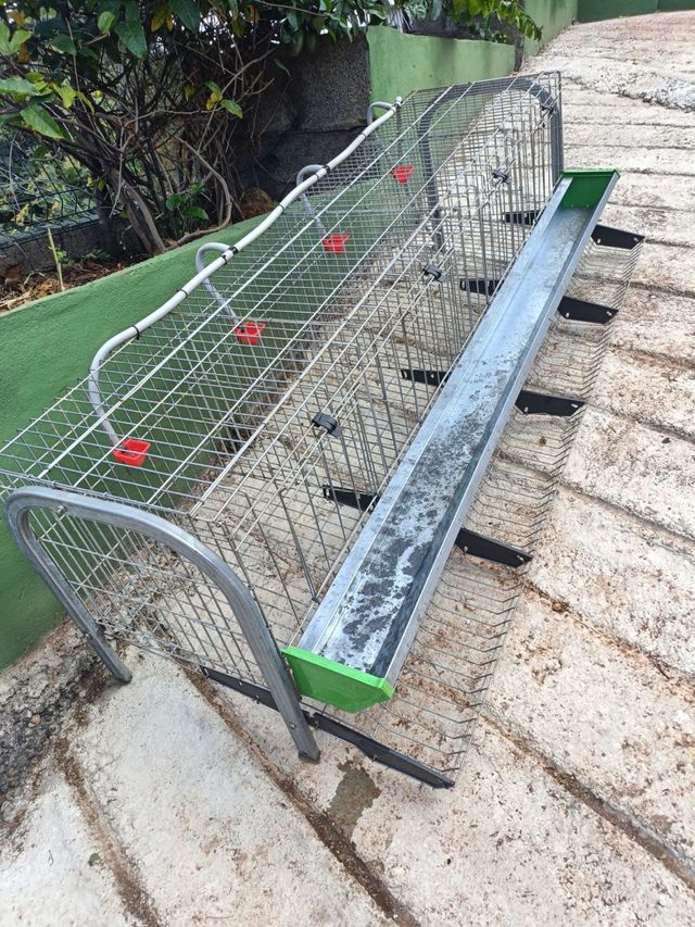 Jaula ponedora con bebedero para 4 gallinas