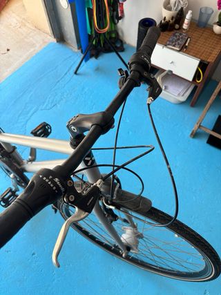 Bicicleta paseo 