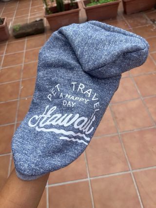 Sudaders Babydog perro