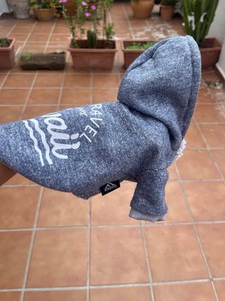 Sudaders Babydog perro