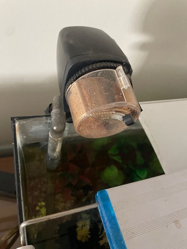 Acuario 60L -pecera usada