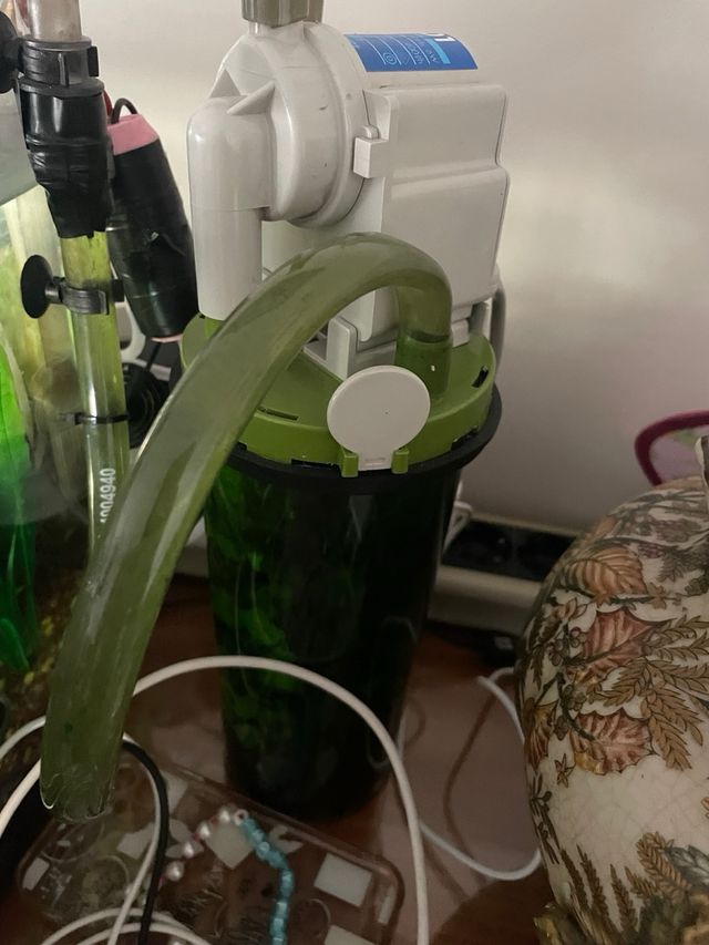 Acuario 60L -pecera usada