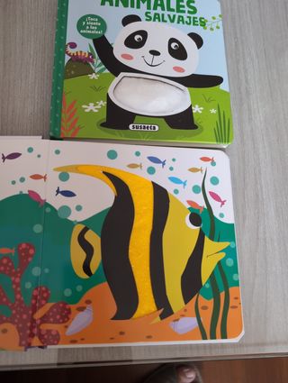 Lote Libros Sensoriales