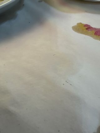 Bomba manual trasiego - Antigua