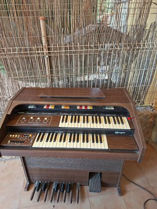 Órgano Diamond Vintage