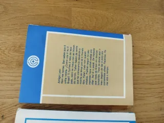 Cartas a Lelo - Xosé Neira Vilas