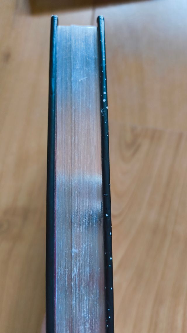 Isadora Moon y la noche mágica