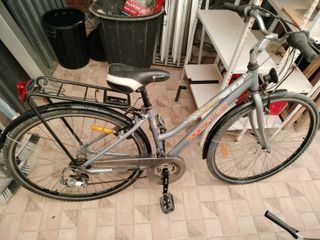 Bicicleta paseo ProFlex