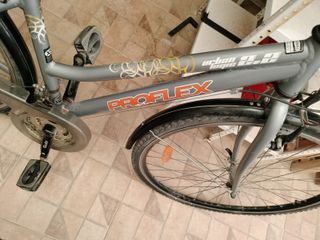 Bicicleta paseo ProFlex