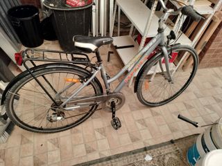 Bicicleta paseo ProFlex