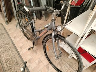 Bicicleta paseo ProFlex