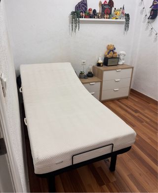 Cama articulada eléctrica
