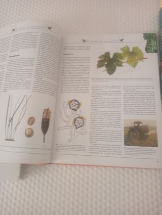 Enciclopedia de medicina natural y salud