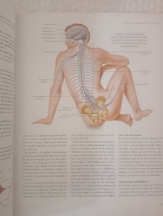 Enciclopedia de medicina natural y salud