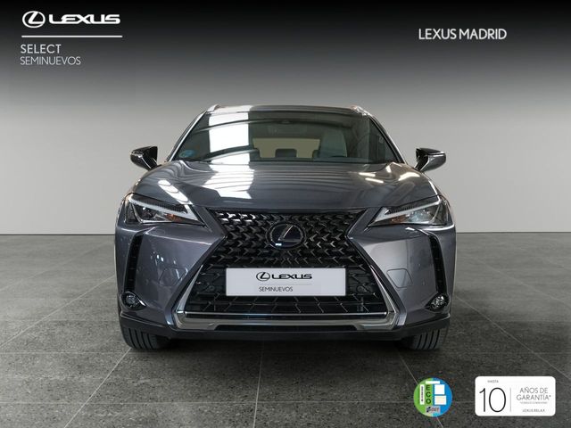 Lexus UX 2.0 250h Business