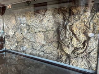 Acuario 200L - Filtro y accesorios