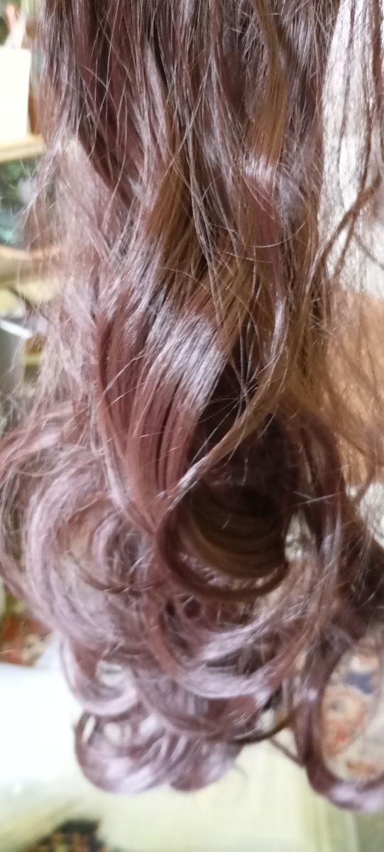 Coleta castaña-morada