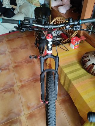 Bicicleta eléctrica montaña