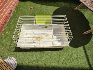 Jaula conejos - Verde y Blanca